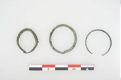 Foto von Bronzering (NHMW-PRAE-026654)